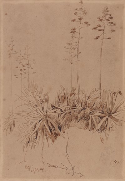 Reggio by Edward Lear